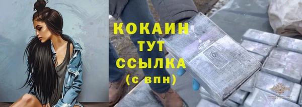 бошки Инта