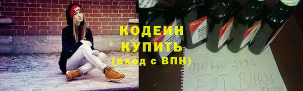 apvp Инсар