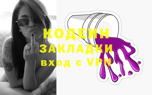 apvp Инсар