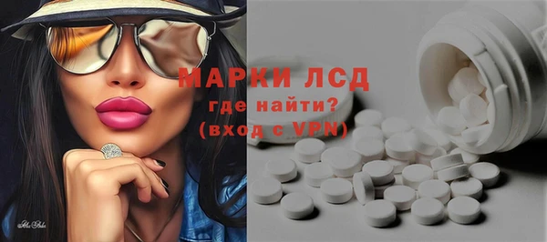 apvp Инсар