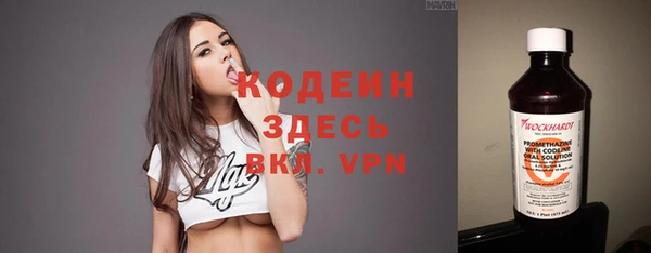 стаф Иннополис