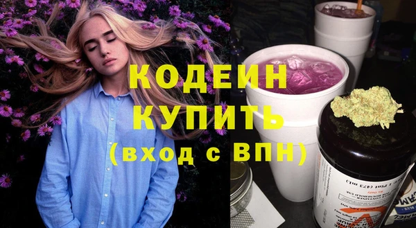 бошки Инта