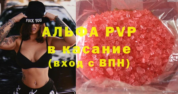 apvp Инсар
