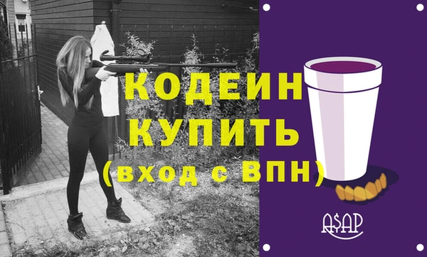 apvp Инсар