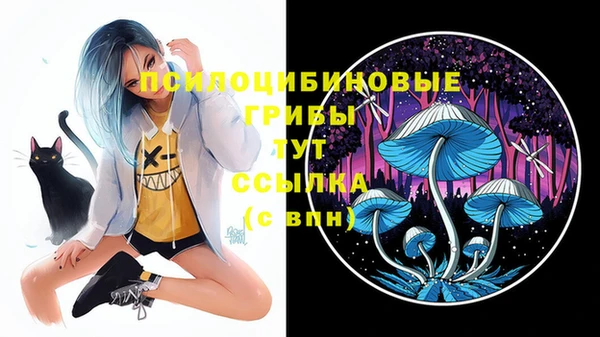 стаф Иннополис