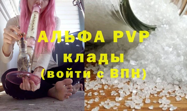 бошки Инта