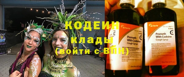 бошки Инта