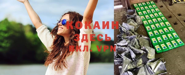 бошки Инта