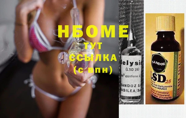 apvp Инсар