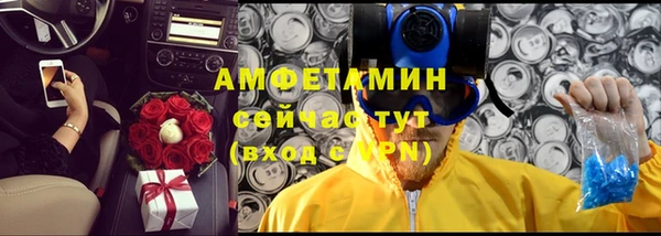 apvp Инсар