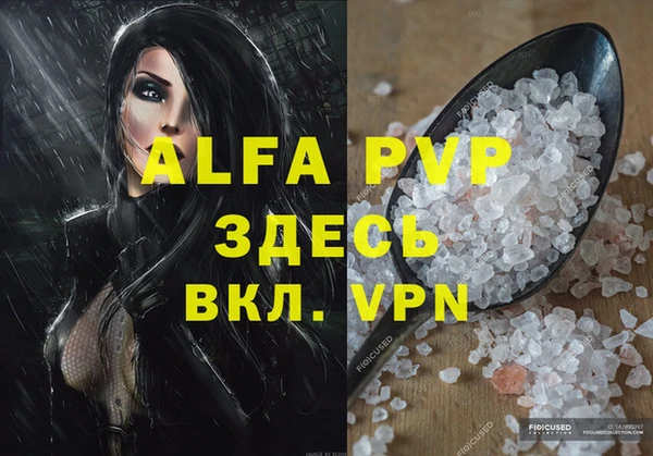 apvp Инсар
