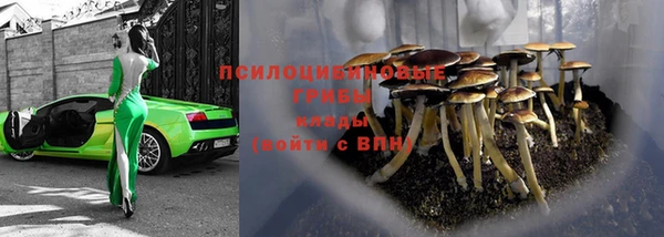 apvp Инсар