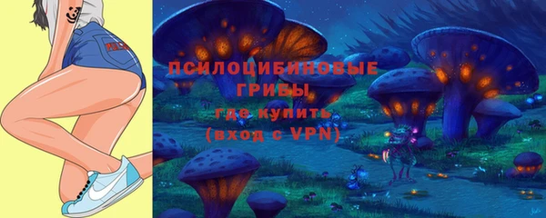 бошки Инта