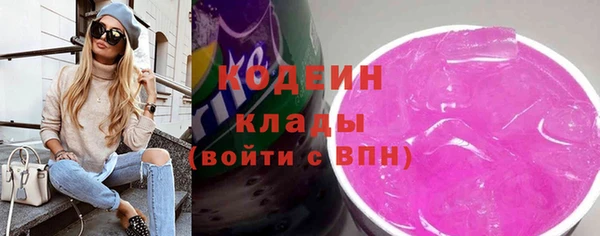 бошки Инта