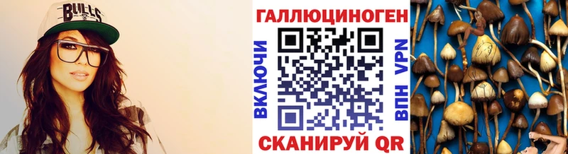 Купить где  Воскресенск  Галлюциногенные грибы MAGIC MUSHROOMS 